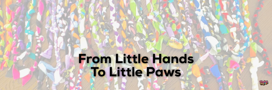 From Little Hands To Little Paws