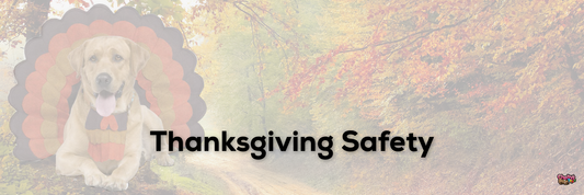 Thanksgiving Safety