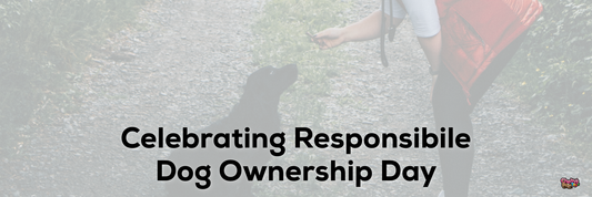 Celebrating Responsible Dog Ownership Day