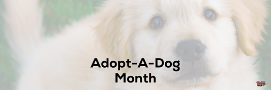 Adopt-A-Dog Month