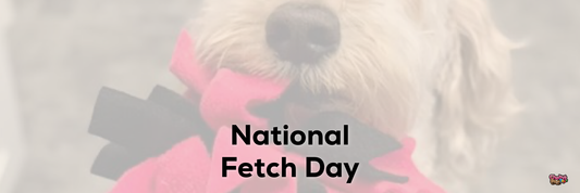 National Fetch Day