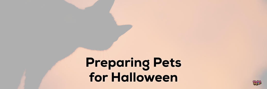 Preparing Pets for Halloween