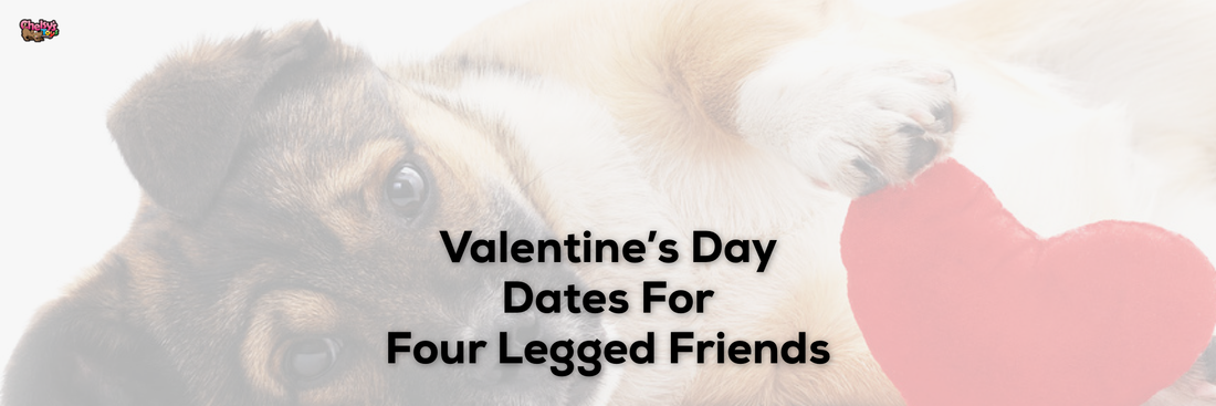 Valentine's Day Dates For Four Legged Friends