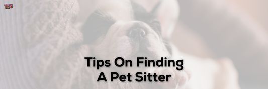 Tips On Finding A Pet Sitter