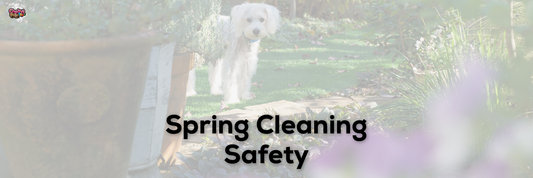 Spring Cleaning Safety