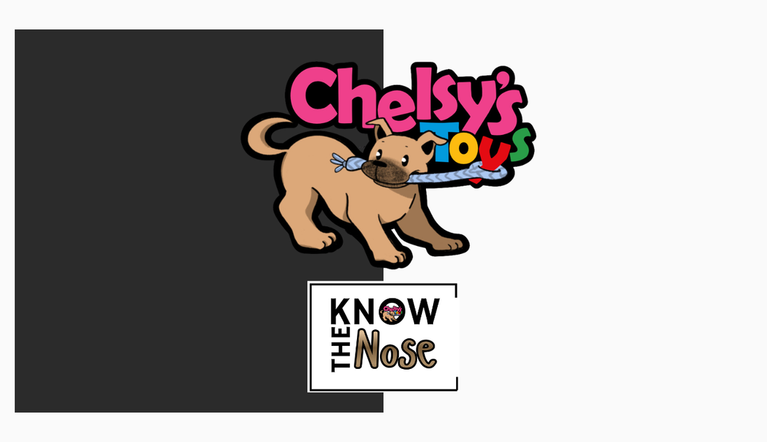 Know The Nose™: Why Understanding Your Dog’s Natural Instincts Changes Everything