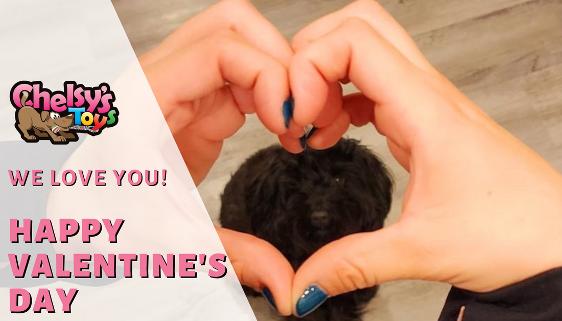 Happy Valentine’s Day