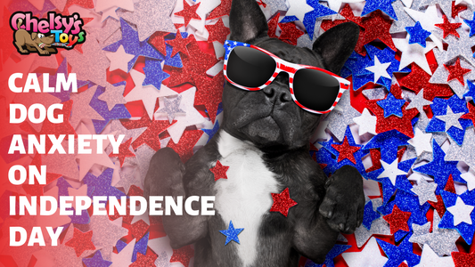 Dog Anxiety and 4th of July: Calming Methods to Help with Fireworks