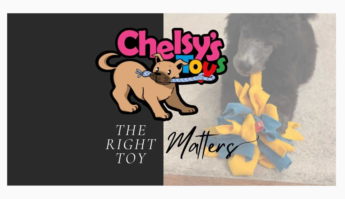 Why the Right Toy Matters at Every Age — And a Big Update for Pet Parents