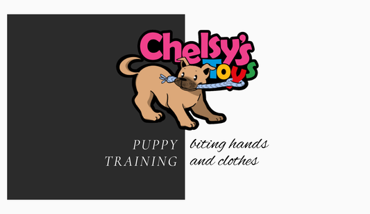 How to Train a Puppy Not to Bite Hands and Clothes