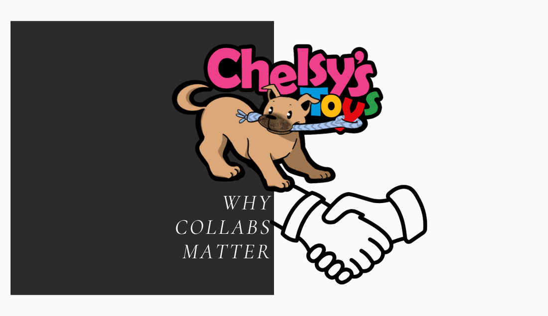 Thoughtful Collaboration: What it Means for YOUR Dog