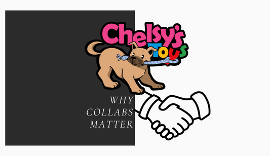 Thoughtful Collaboration: What it Means for YOUR Dog