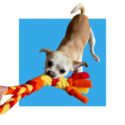 Patented Enrichment Tug Toy for Dogs | Durable, Interactive, and Bonding-Friendly