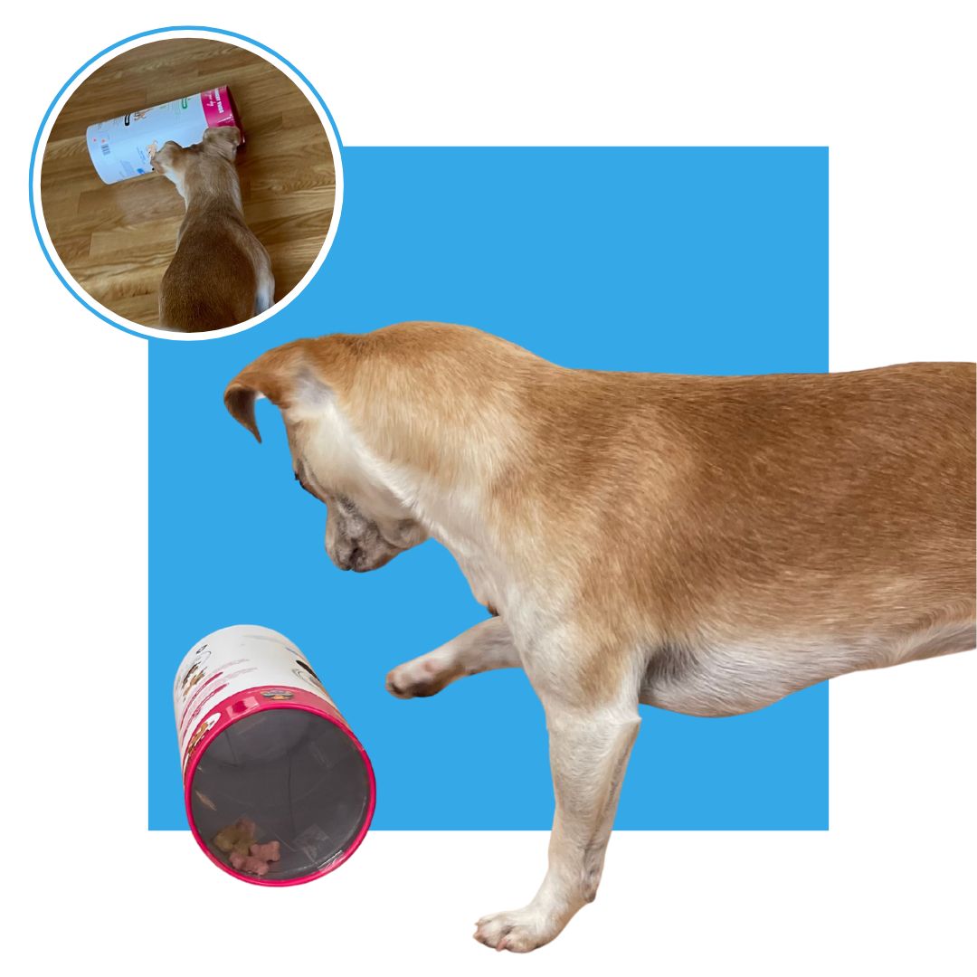 Adjustable Slow-Feed Treat Dispenser for Puppies and Seniors
