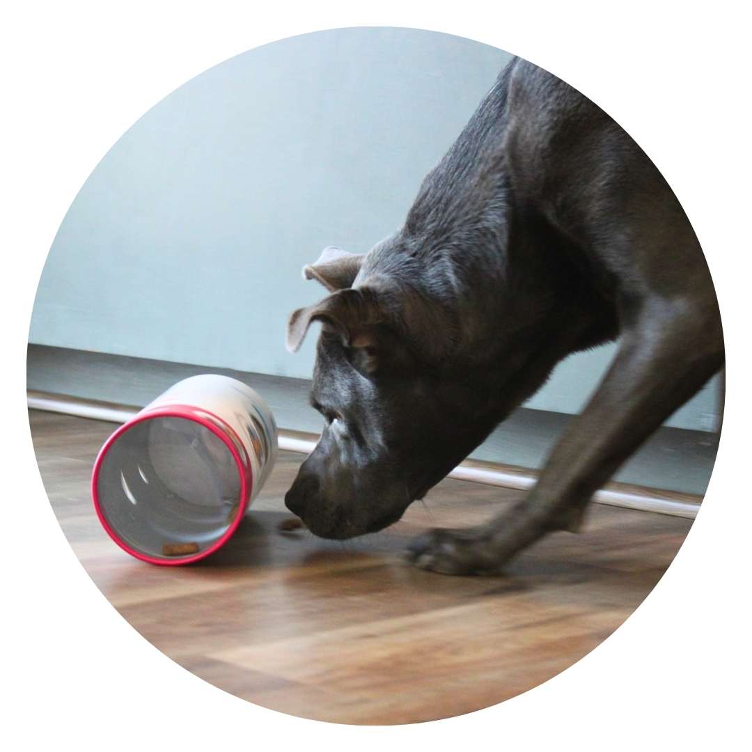 Adjustable Slow-Feed Treat Dispenser for Puppies and Seniors