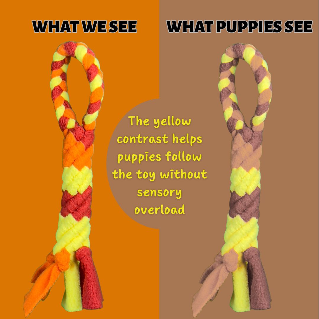 Patented Enrichment Tug Toy for Dogs | Durable, Interactive, and Bonding-Friendly