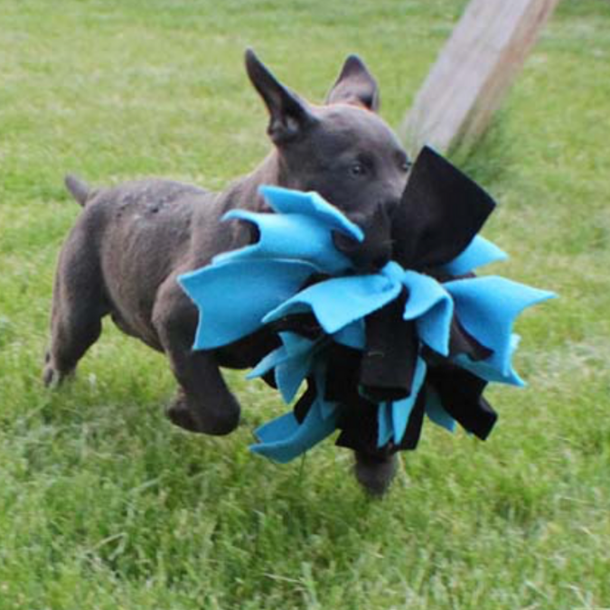 Snuffle Ball / Felt - Cucciolo & Cavallo