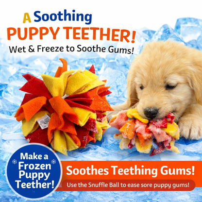 Interactive Snuffle Ball for Dogs | Slow-Play Treat and Brain Exercise for Puppies & Seniors