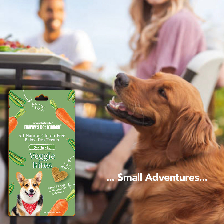 Marcy's Pet Kitchen® - 'On-The-Go' All-Natural, Vegan Veggie Biscuit 1 oz Healthy Dog Treats