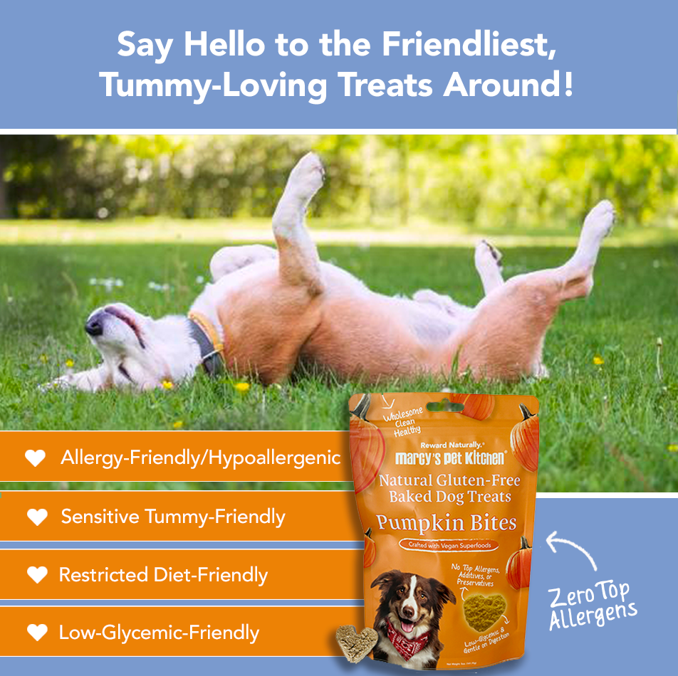 Marcy's Pet Kitchen- All Natural, Vegan Pumpkin Biscuit Dog Treats - Homemade-Vet Approved- Vegan, Gluten Free, Human Grade Ingredients, Made in The USA, Healthy Pumpkin Dog Treats