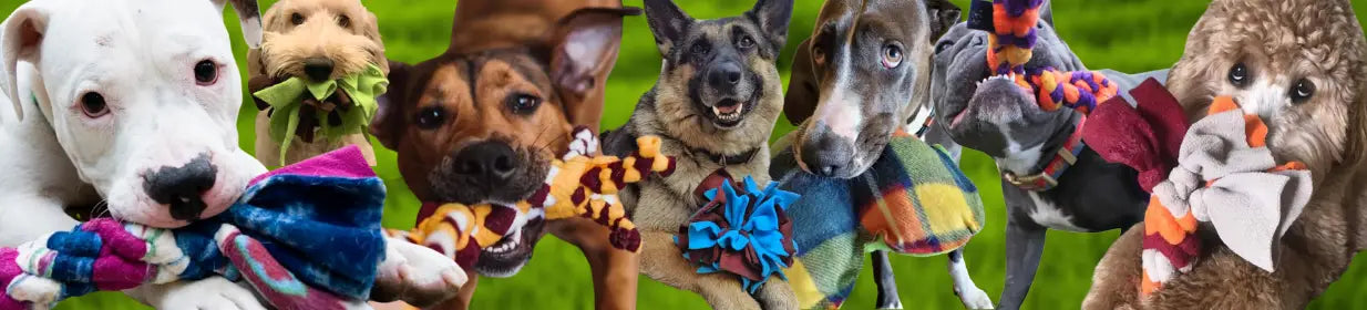 our happy customers through the years since 2006