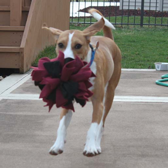Snuffle Ball.
