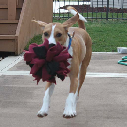 Snuffle Ball.