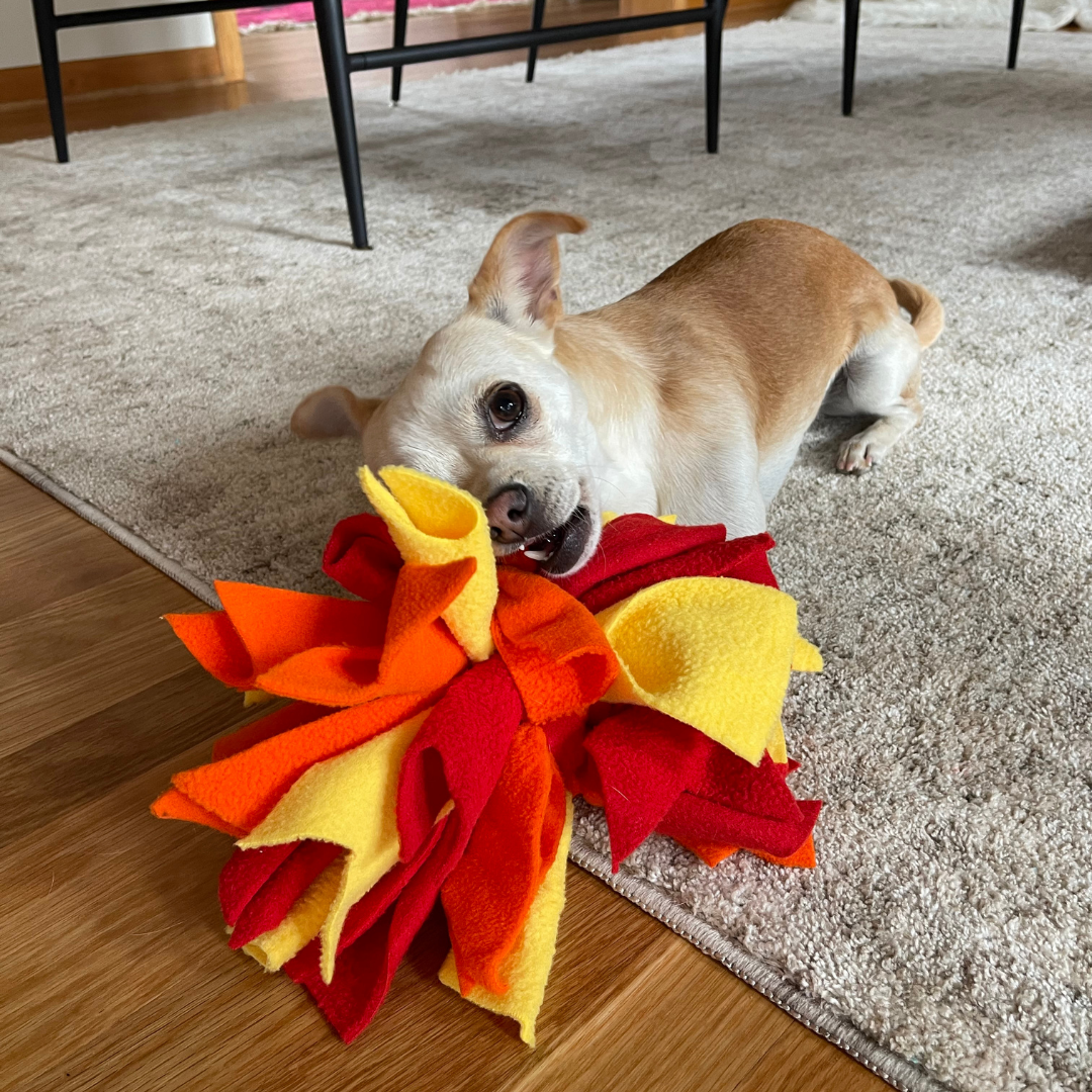 Chelsy’s Toys Snuffle Ball – Interactive Dog Enrichment, Treat & Training Toy