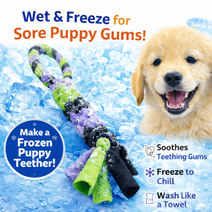 3-in-1 Bundle Enrichment Tube for Dogs - Tug Toy, Treat Dispenser & Snuffle Ball
