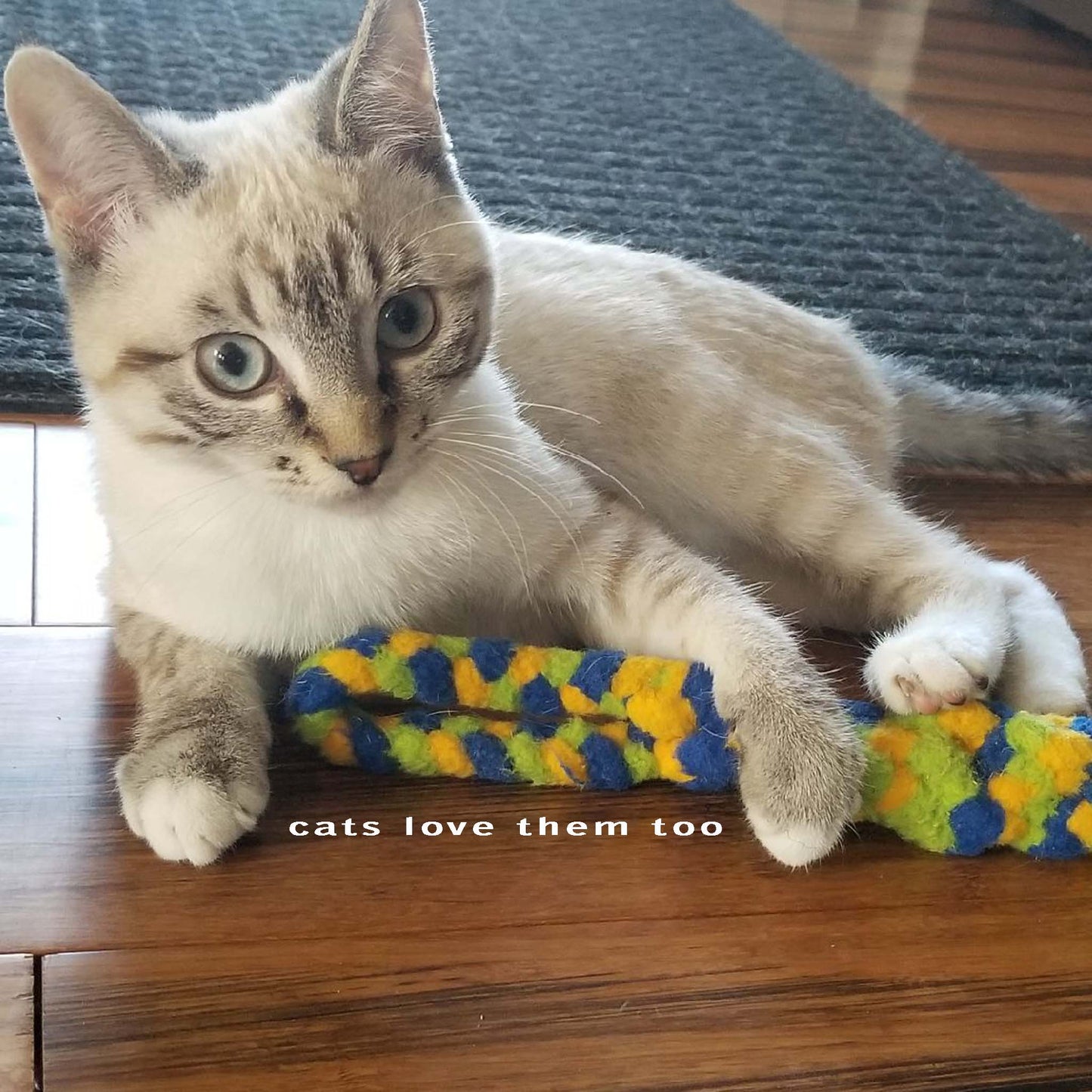 Traditional Tug Toy