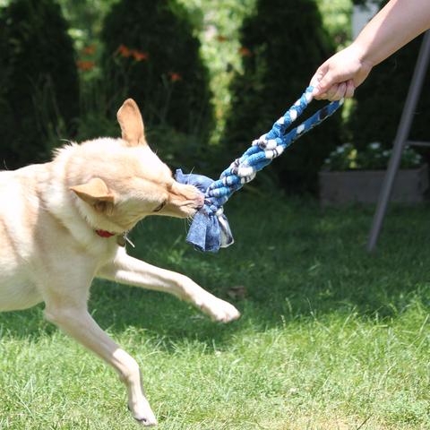 Spiral Tug Toy