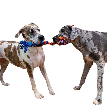 Traditional Tug Toy