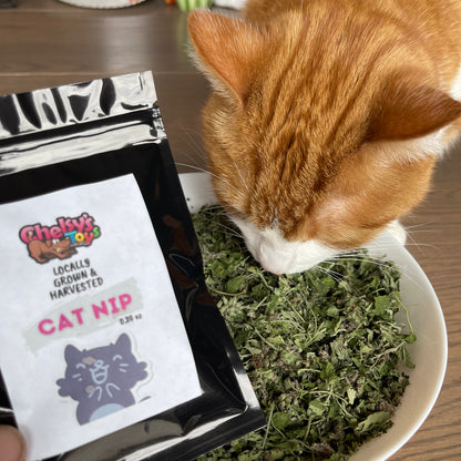 Cat Nip Flower