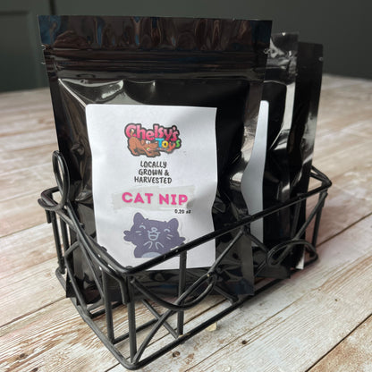 Cat Nip Flower