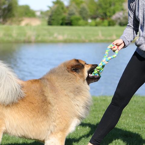 Traditional Tug Toy